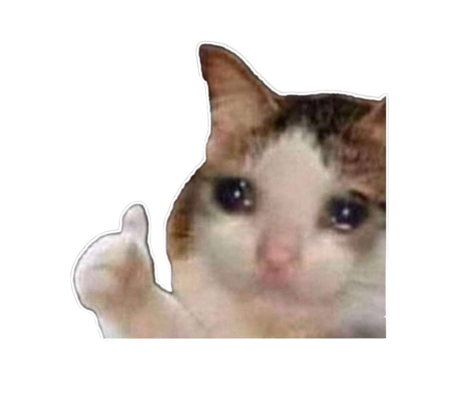 Doing Great! Sad Cat Thumbs Up Meme | Collectible Pin - Velora
