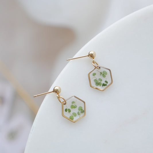 Boucles d’oreilles Chloé - Hexa (mini) - Velora