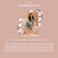 Floral Installation - Boho Neutral - Velora Luxury Fashion