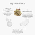 Forest Essentials Advanced Sanjeevani Beauty Elixir - Velora Luxury Fashion
