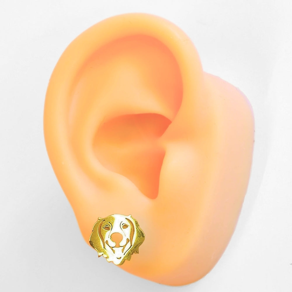 Golden Retriever Studs - Velora