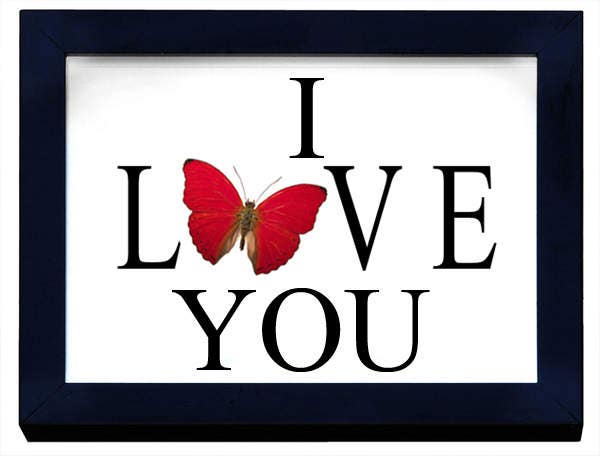 I Love You with a Real Butterfly - Velora Luxury Fashion