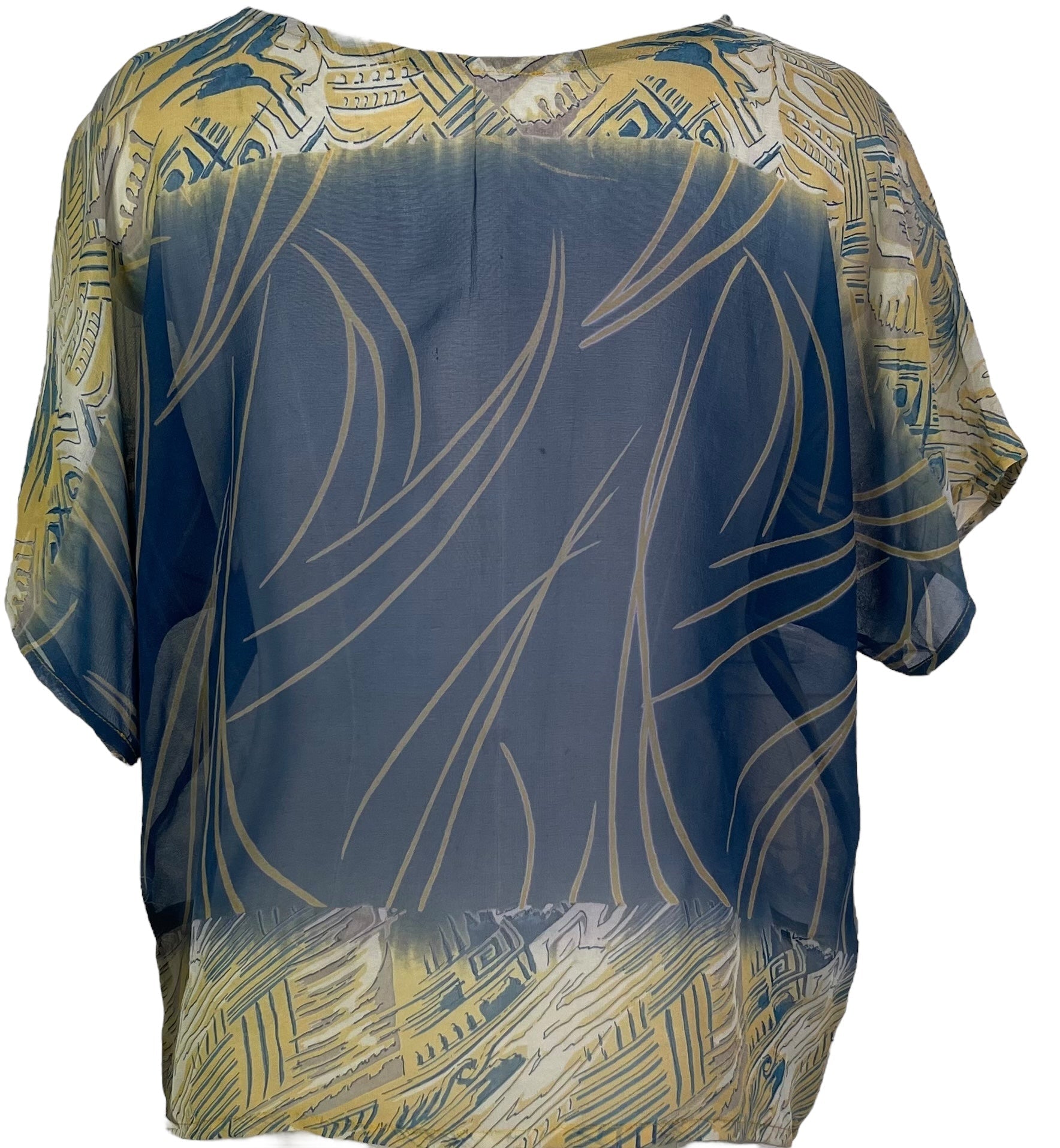 PRG5512 Sheer Avatar Pure Silk Boxy Top - Velora