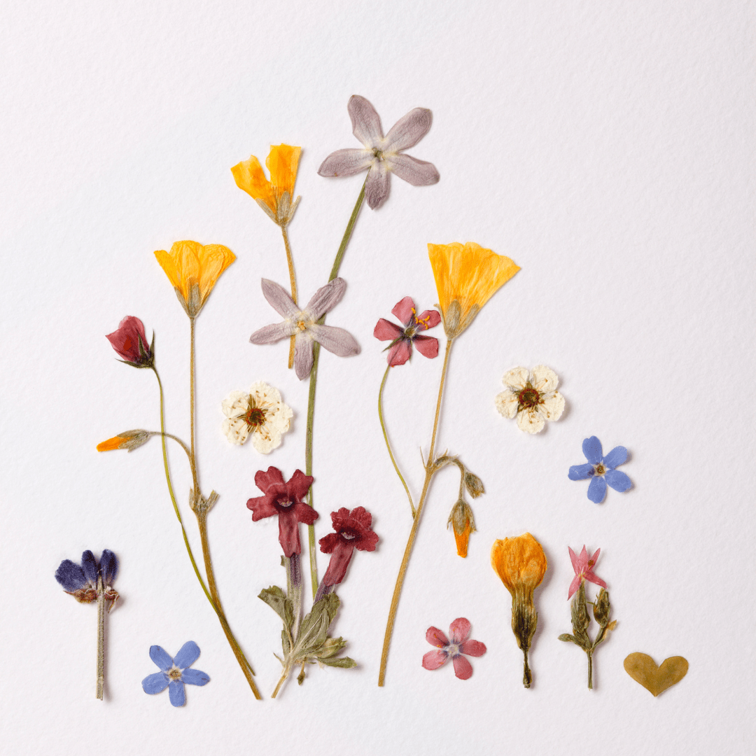 Painting with Petals  - Pressed Flower Workshop - Velora Luxury Fashion