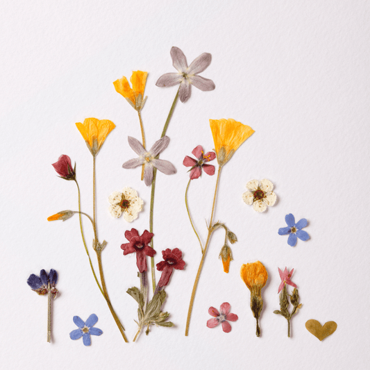 Painting with Petals  - Pressed Flower Workshop - Velora Luxury Fashion