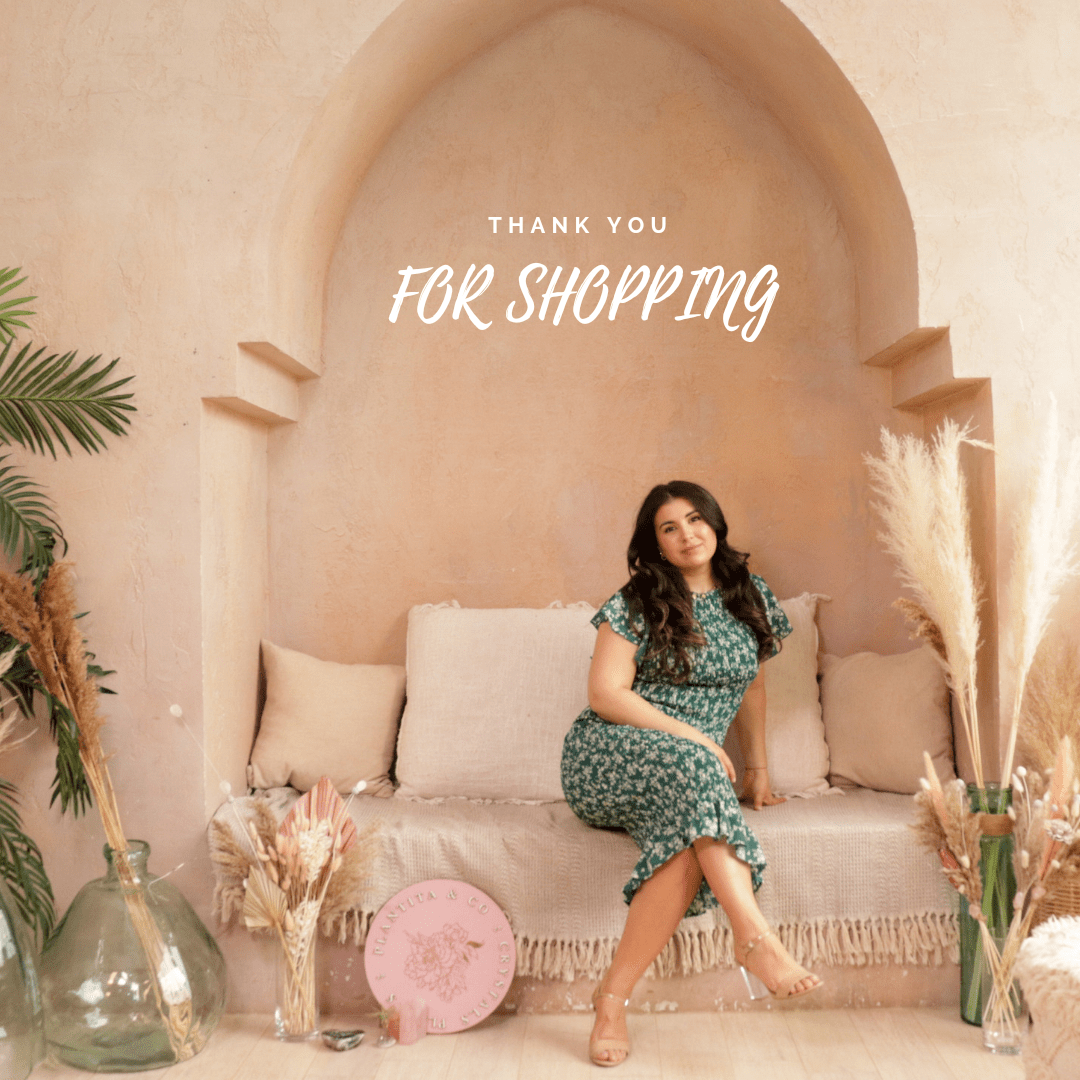 Pampas Grass - Grey 3 Stems - Velora Luxury Fashion