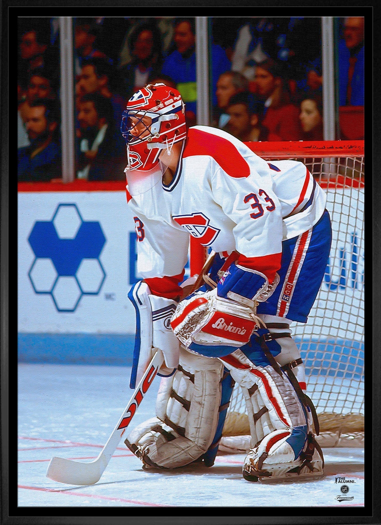 Patrick Roy 20x29 Framed Canvas Canadiens Action-V - Velora Luxury Fashion