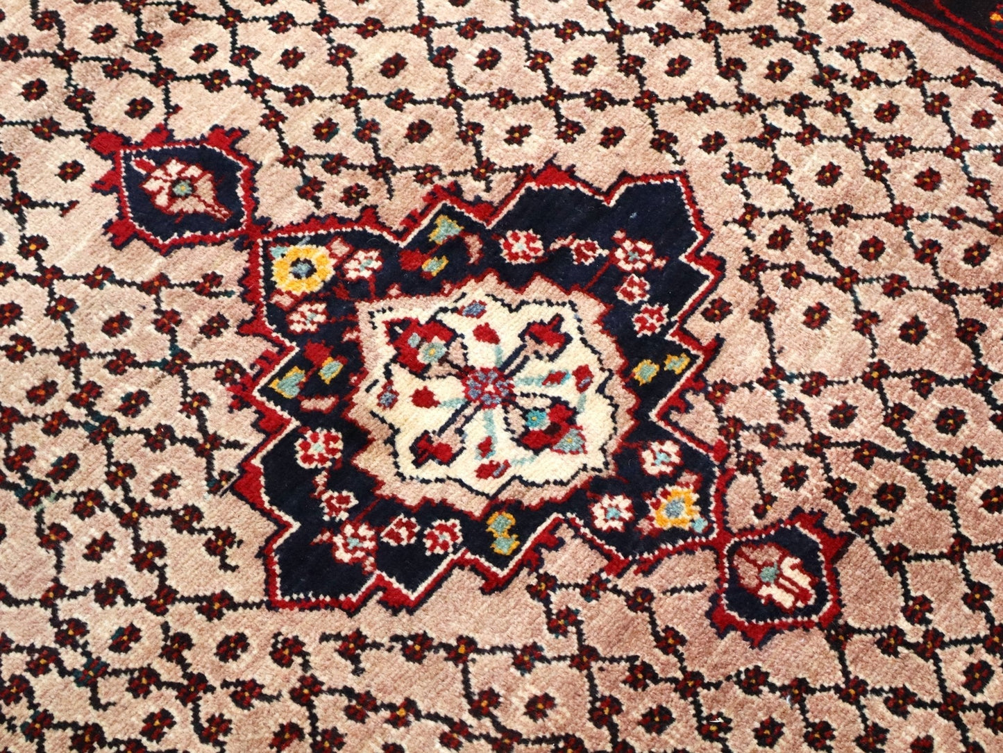 Persian Koliai Rug | 5' 2" x 9' 4" - Velora Luxury Fashion