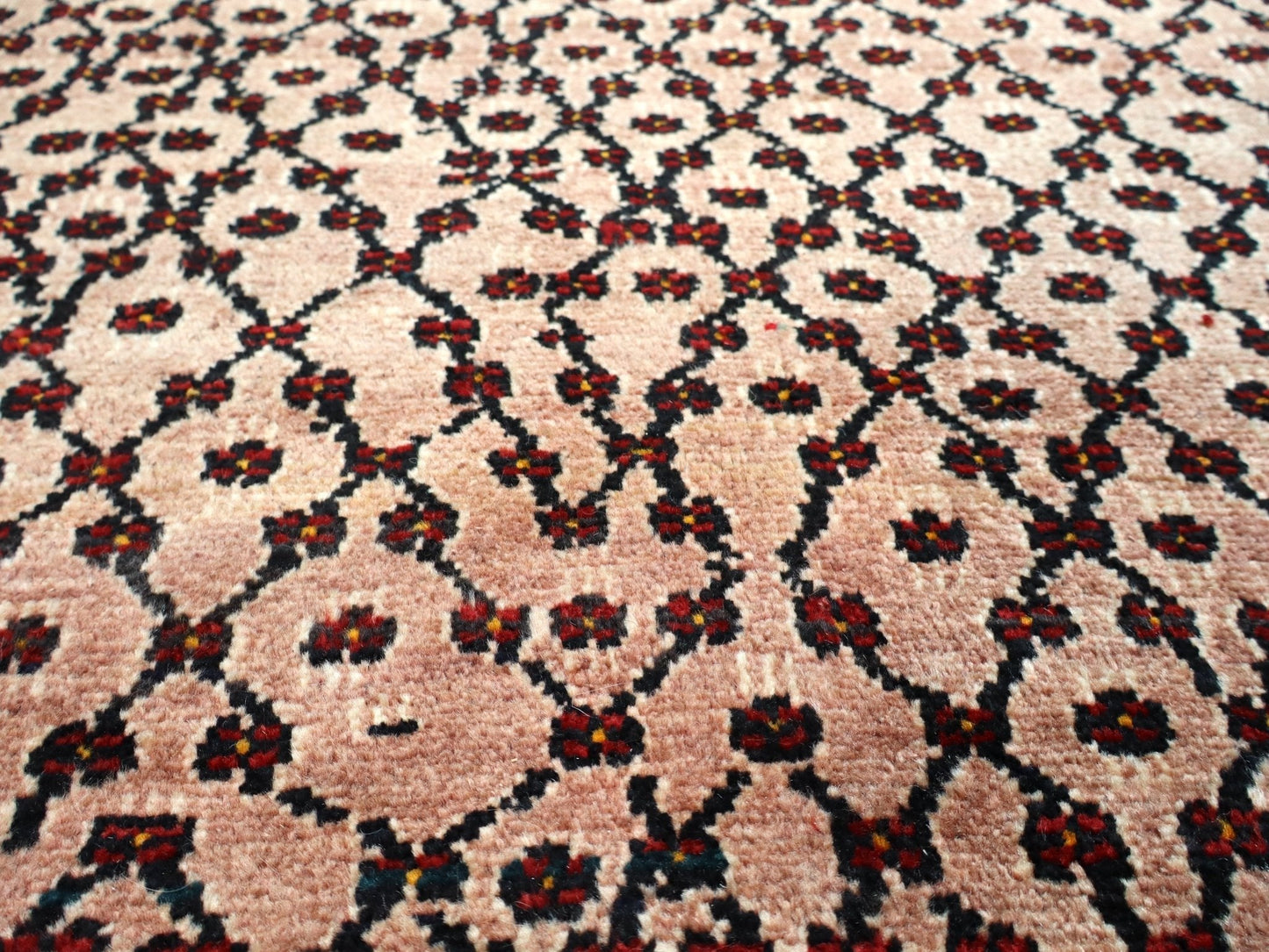 Persian Koliai Rug | 5' 2" x 9' 4" - Velora Luxury Fashion