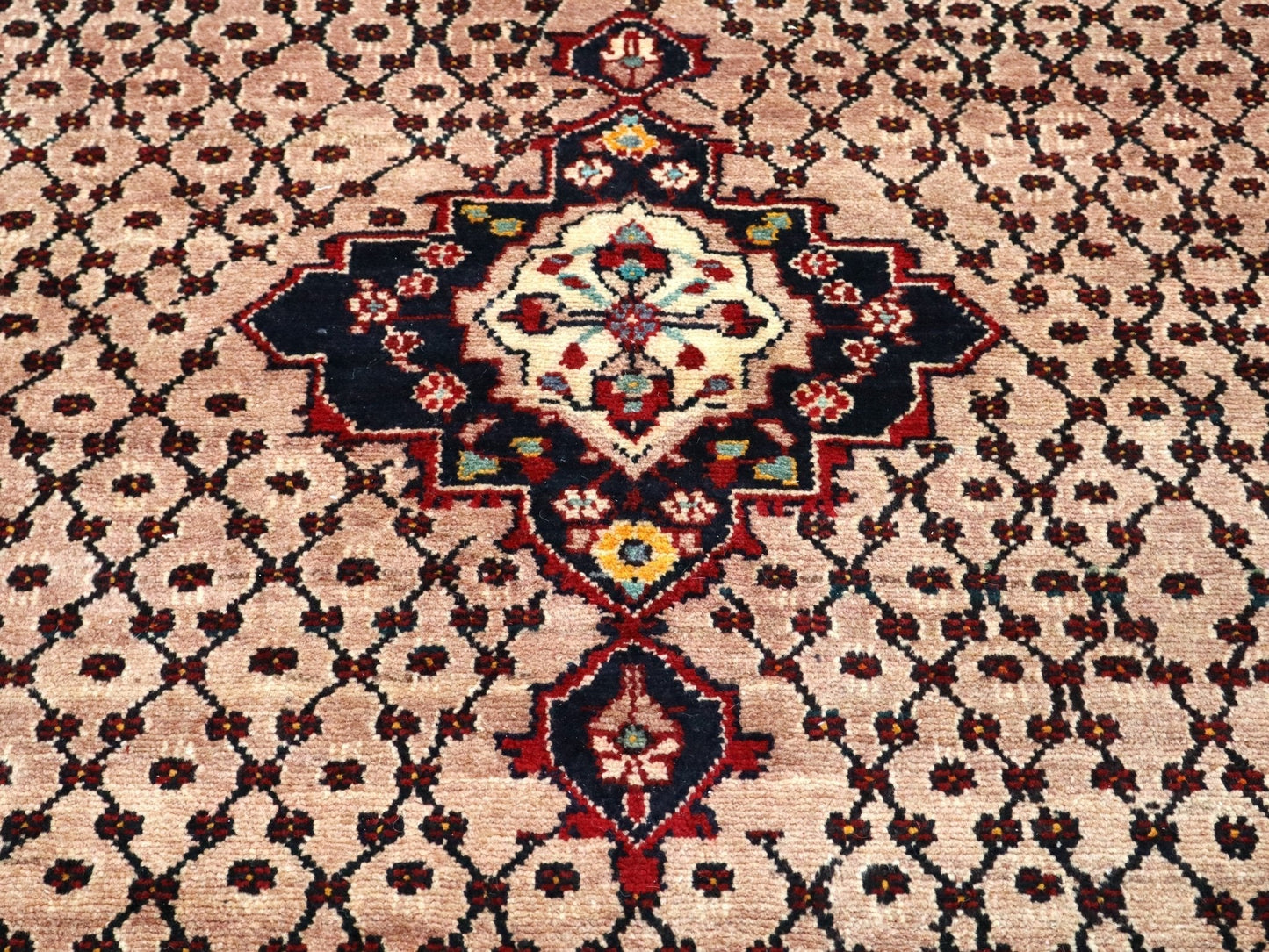 Persian Koliai Rug | 5' 2" x 9' 4" - Velora Luxury Fashion