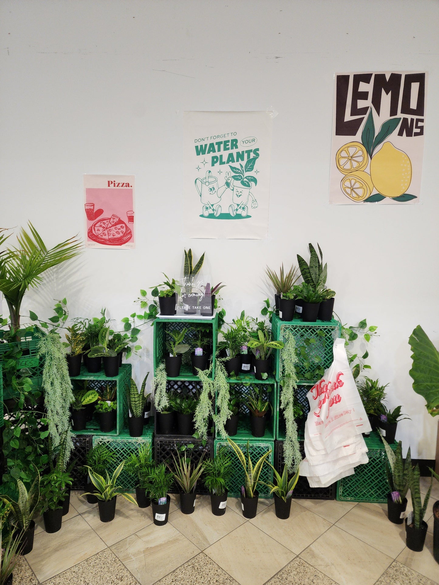 Plant Bar - Velora Luxury Fashion