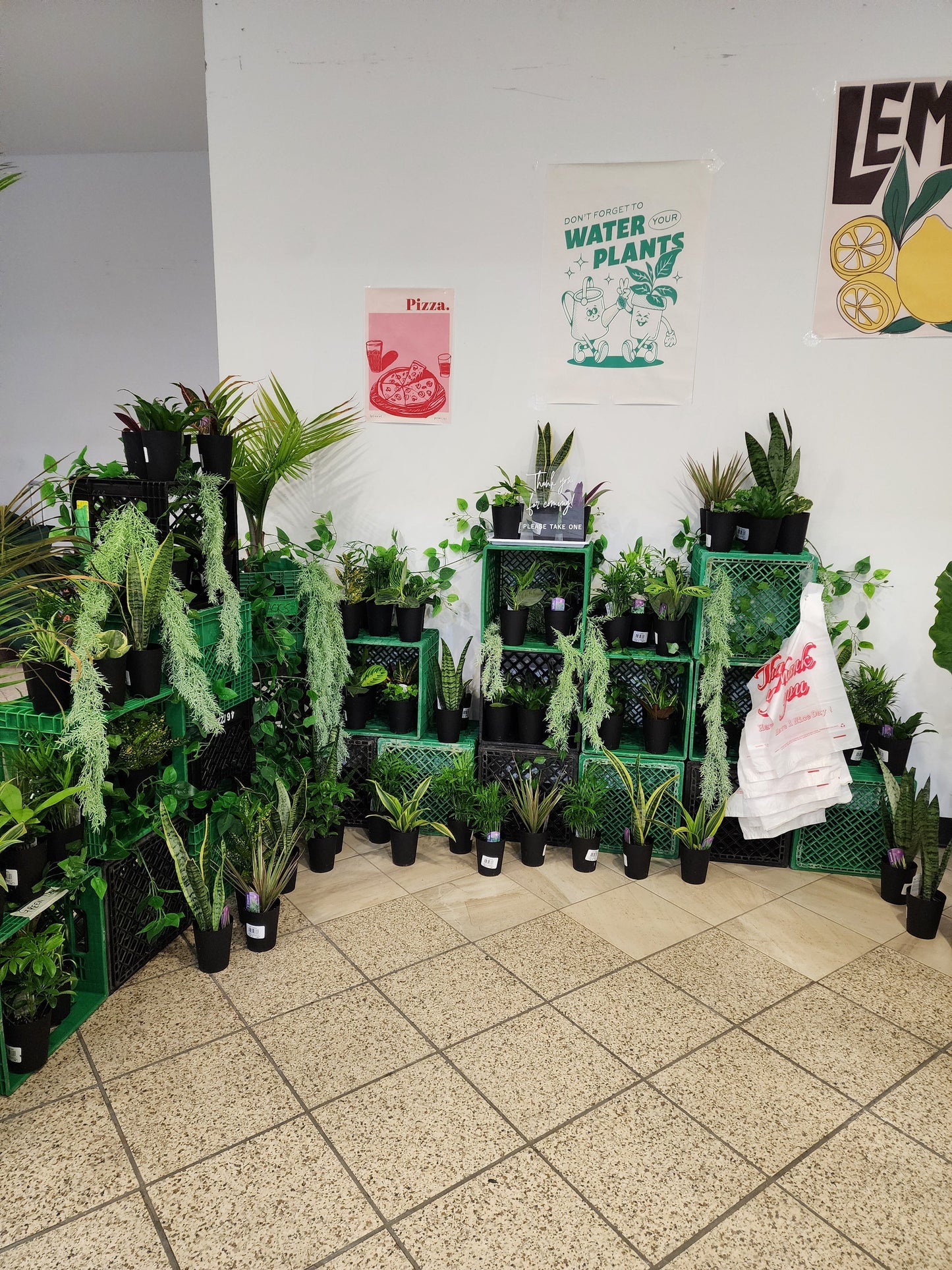 Plant Bar - Velora Luxury Fashion