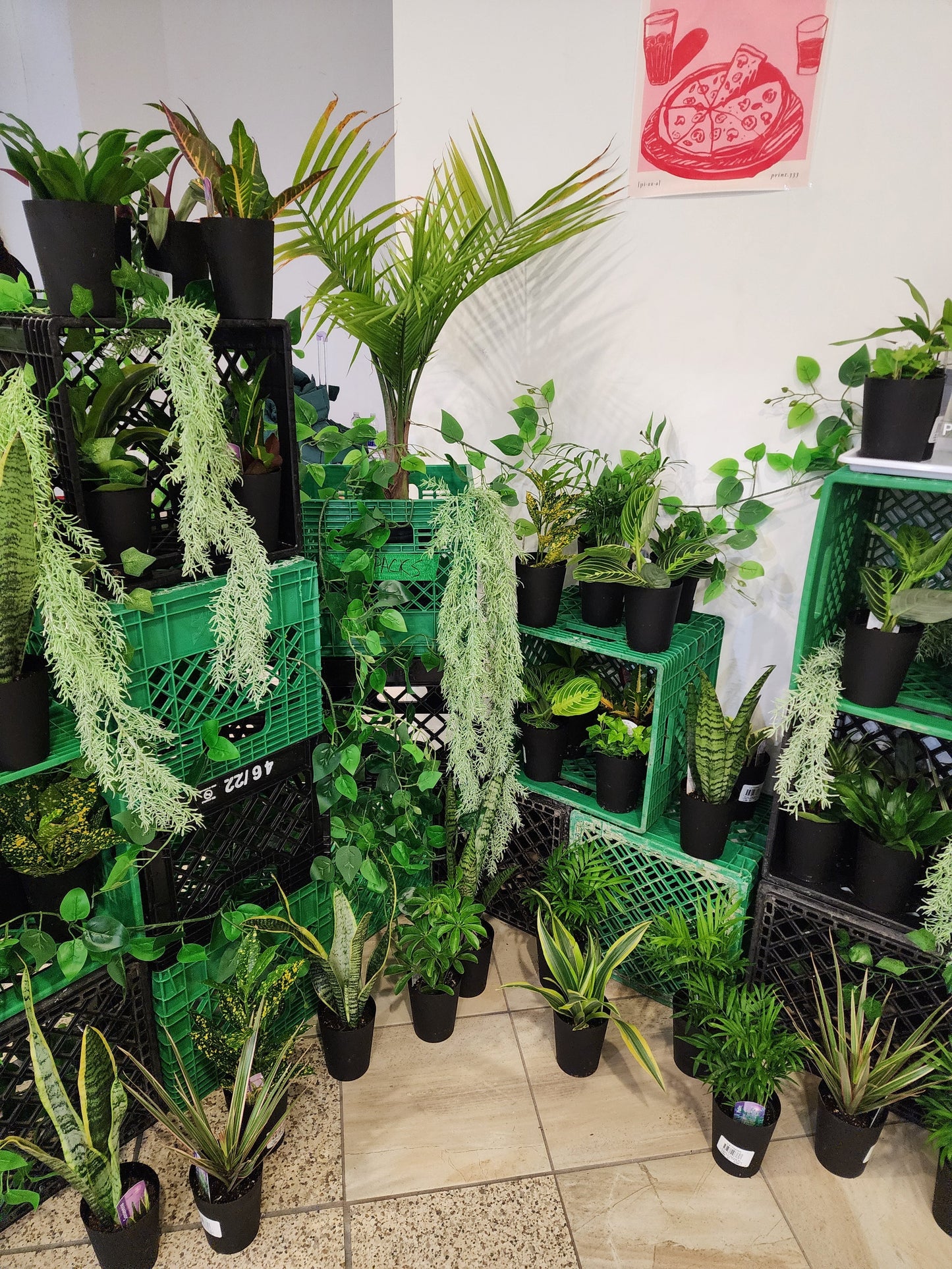 Plant Bar - Velora Luxury Fashion