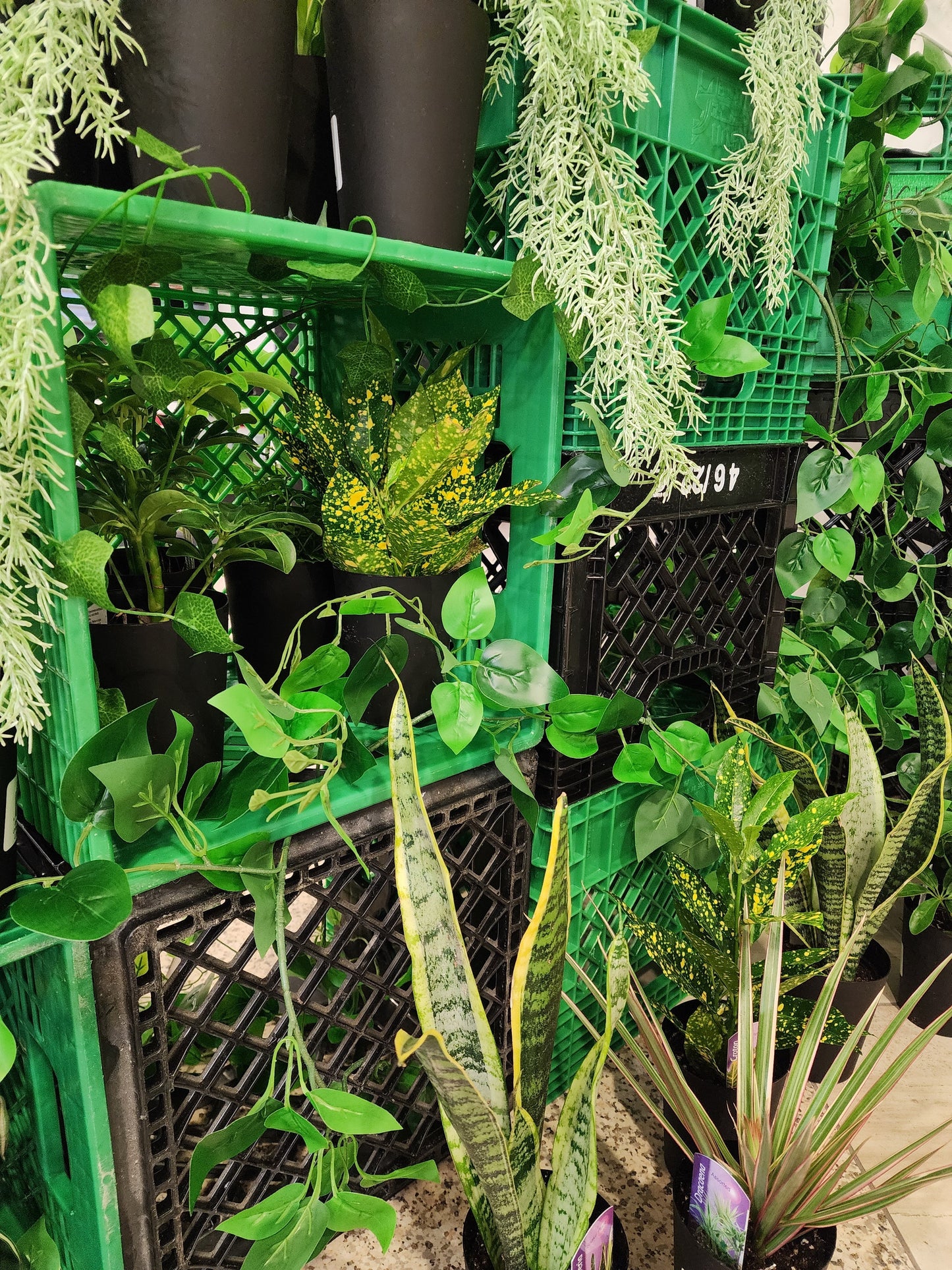 Plant Bar - Velora Luxury Fashion