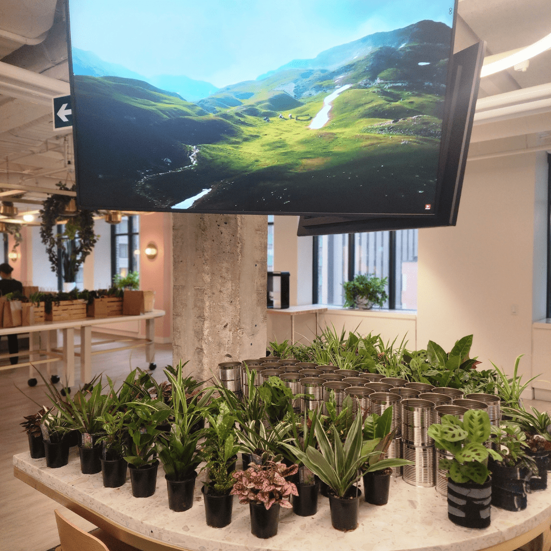 Plant Bar - Velora Luxury Fashion