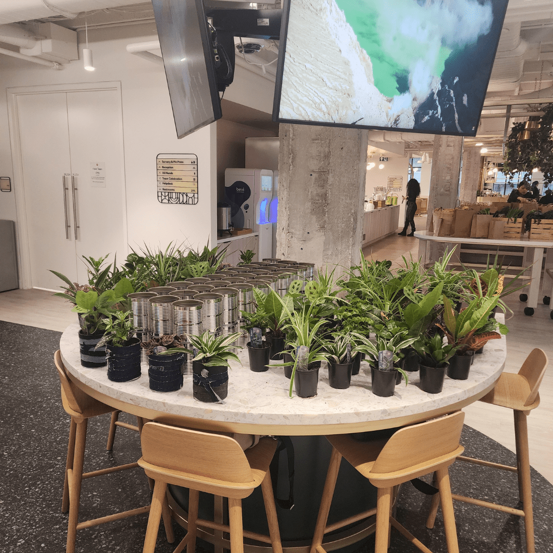 Plant Bar - Velora Luxury Fashion