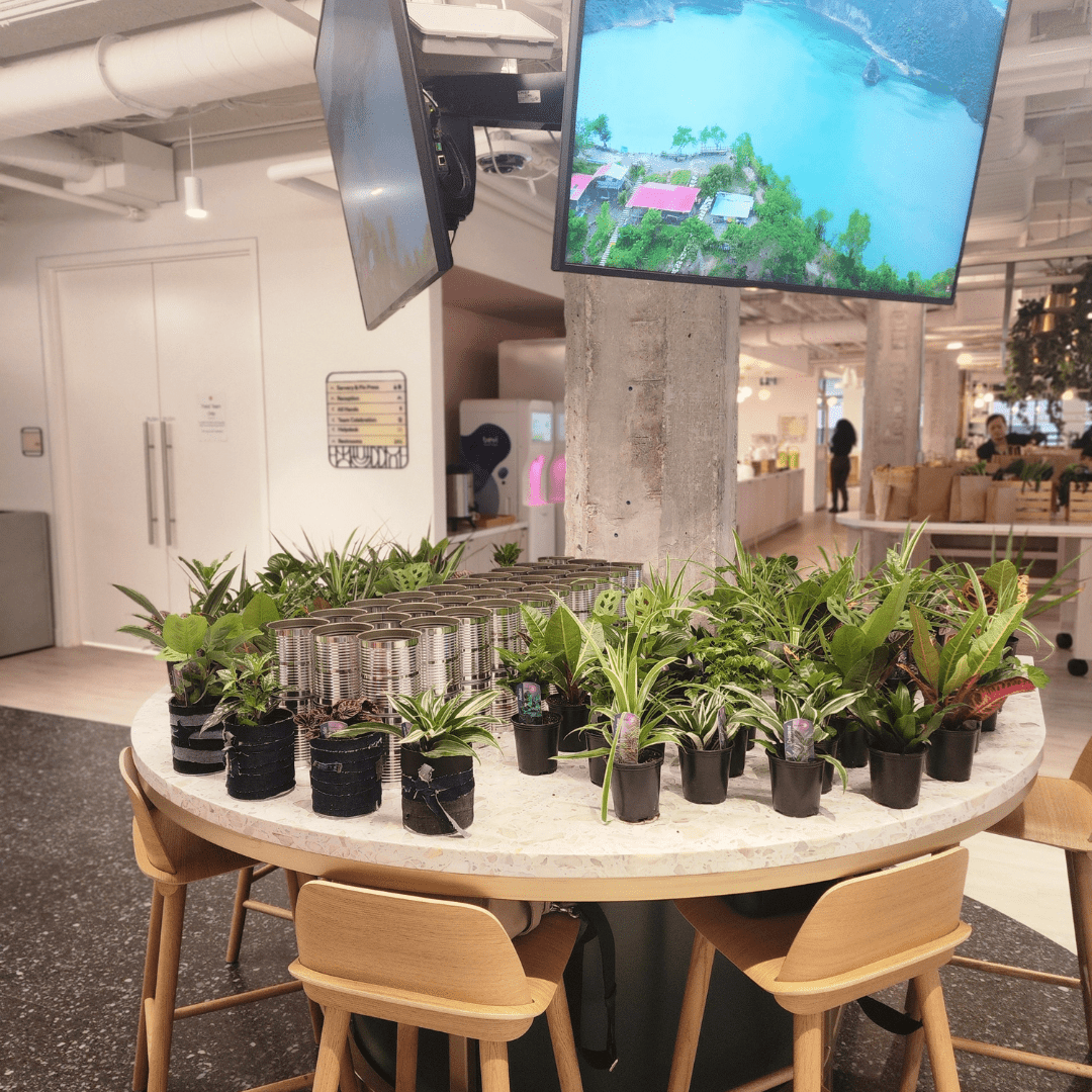 Plant Bar - Velora Luxury Fashion