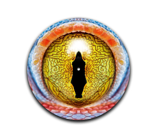 Gecko Eye Slipmat