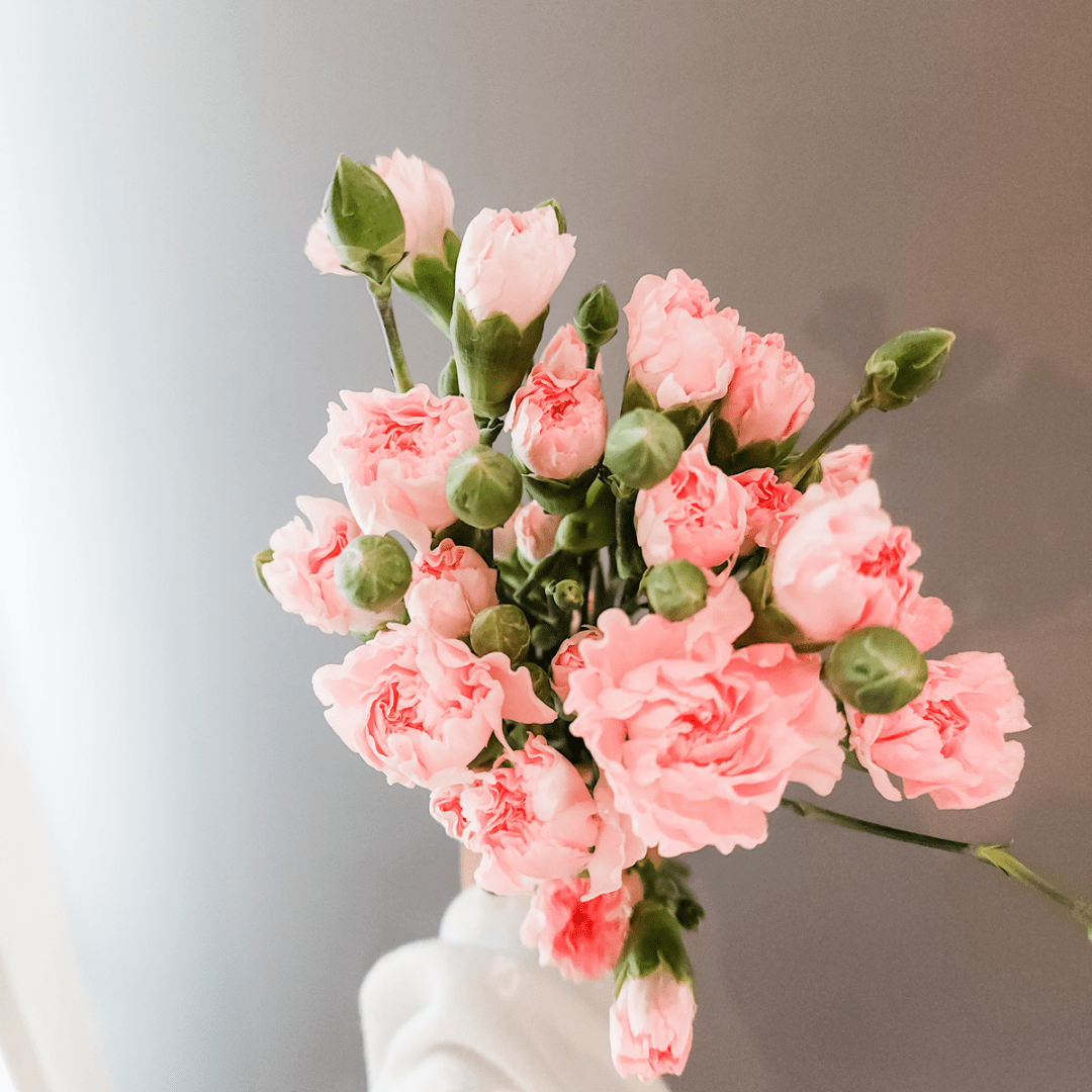 Spray Carnations Pink - Velora Luxury Fashion