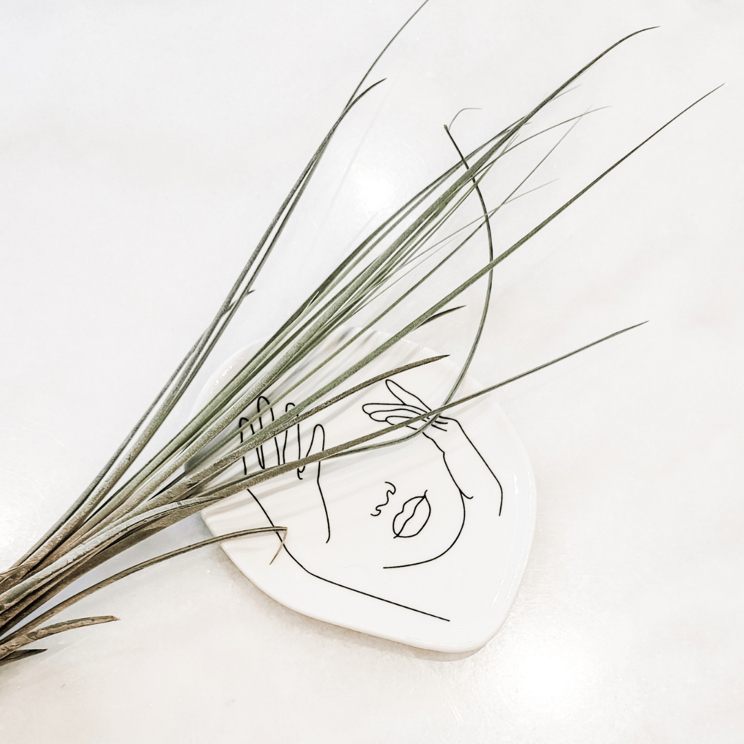 Tillandsia Juncea Air Plant XL - Velora Luxury Fashion