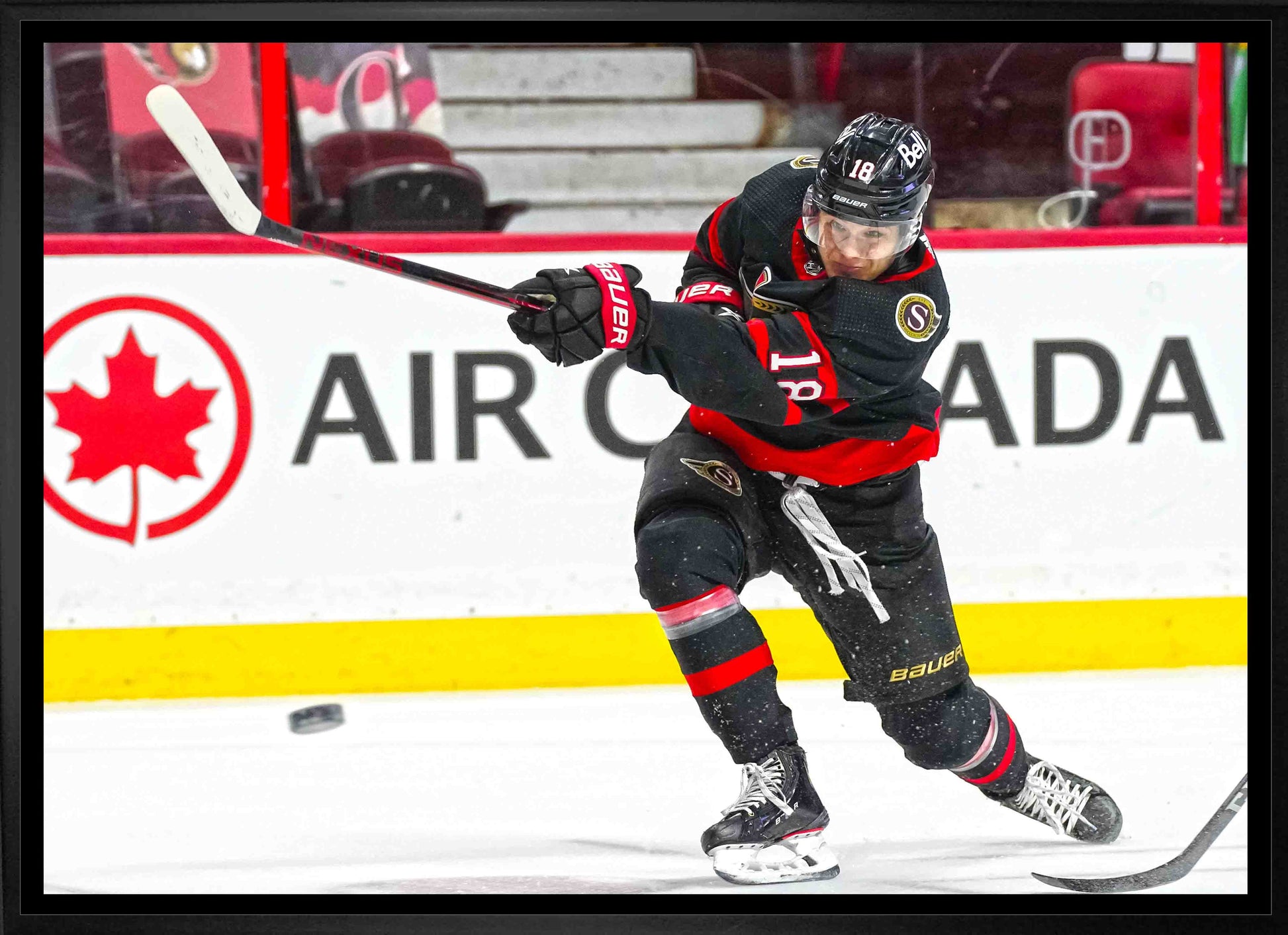 Tim Stutzle Ottawa Senators Framed 20x29 Shooting Canvas - Velora Luxury Fashion