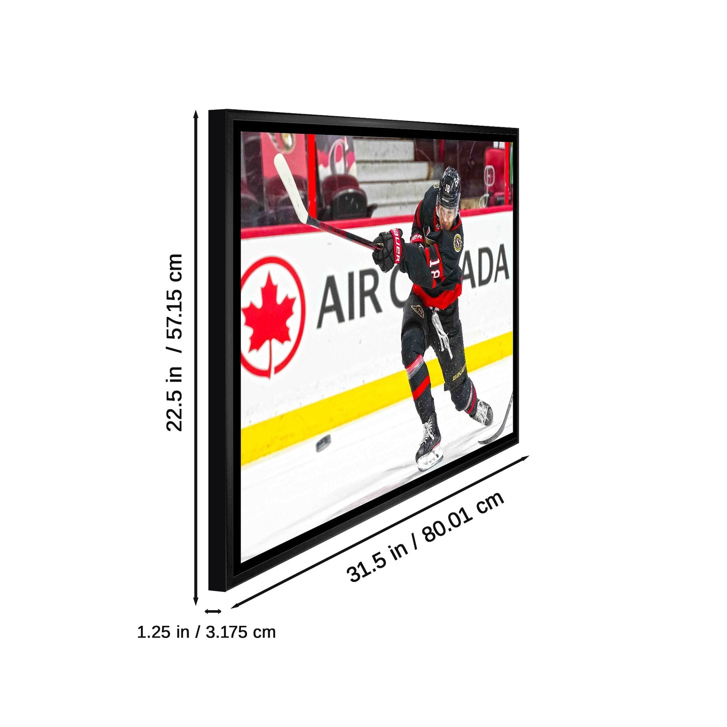 Tim Stutzle Ottawa Senators Framed 20x29 Shooting Canvas - Velora Luxury Fashion