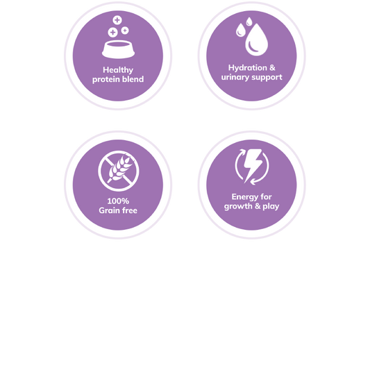 Wellness Complete Health Pâté Chicken & Lobster Cat Wet Food - Velora Luxury Fashion