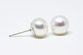 White Pearl Stud Earrings 8mm - Velora Luxury Fashion
