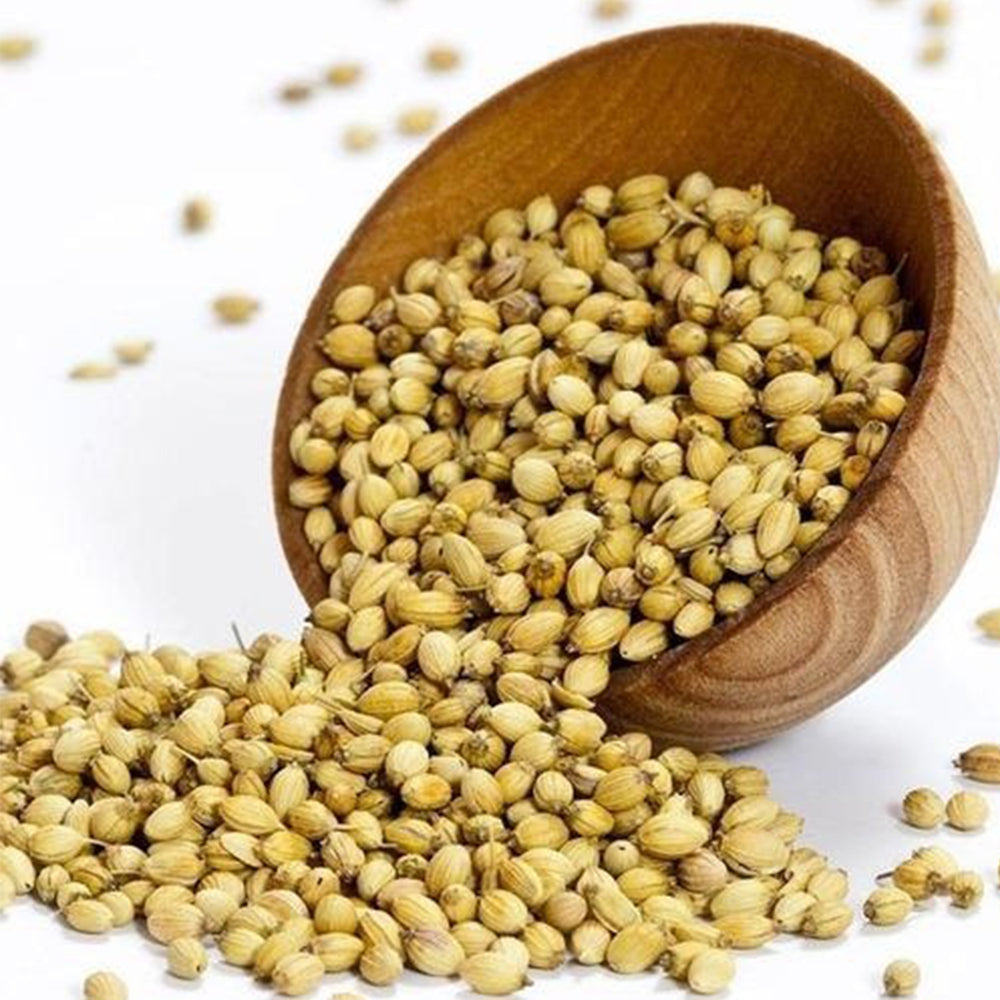 Coriander seeds (Dhana) - Velora