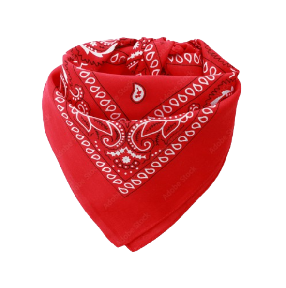 Europe Bound Bandanas 5 pack - Velora