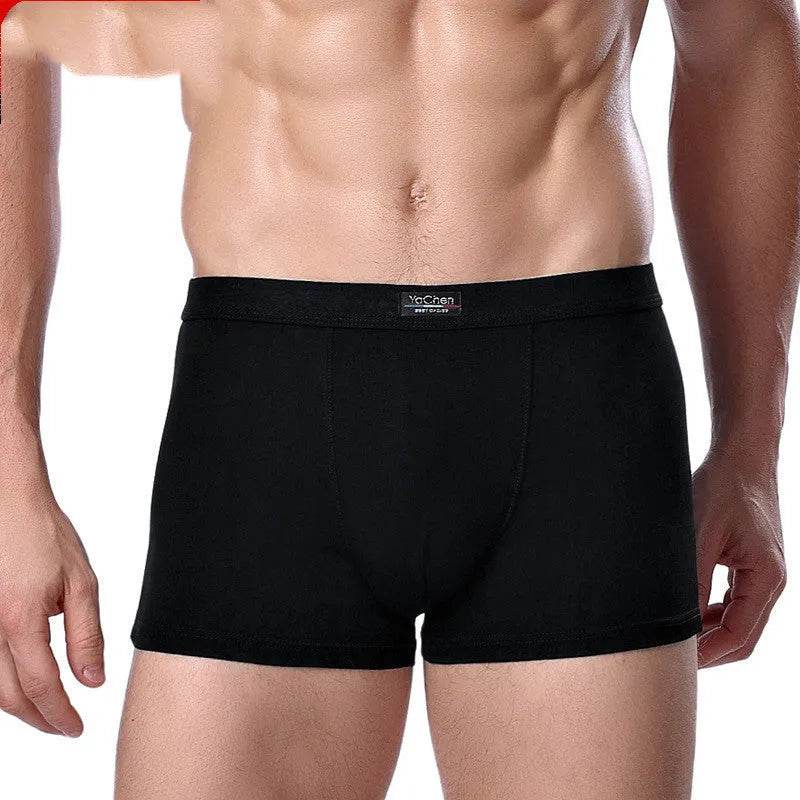 Men's Underwear Boxer Briefs Panties Bamboo Fiber Modal
