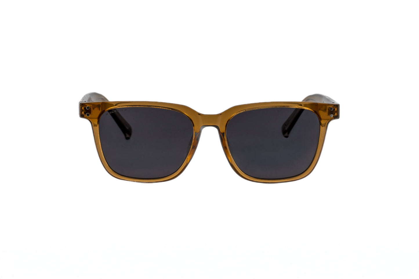 Vale – Classic Wayfarer Sunglasses | Bolero Eyewear