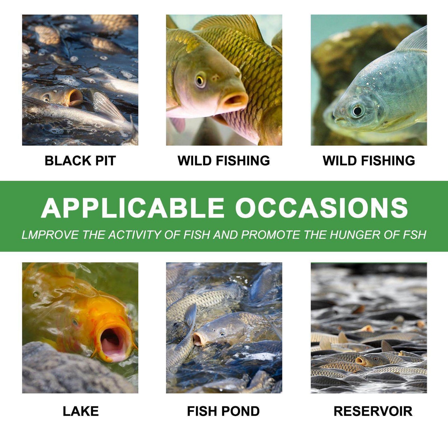 Igbang Wild Fishing Bait Small Medicine Fish Attractant - Velora