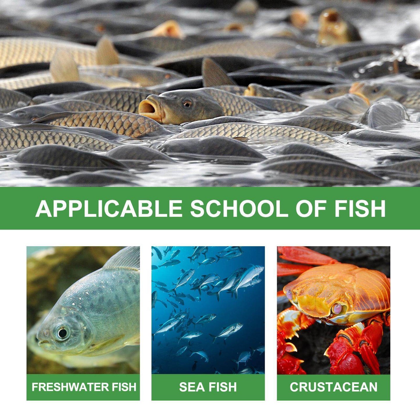 Igbang Wild Fishing Bait Small Medicine Fish Attractant - Velora