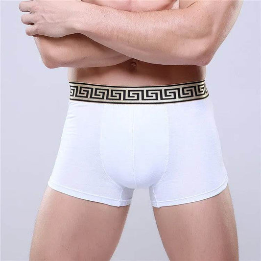 Men's Cotton Boxer Briefs Casual Solid Color Mid Waist underwear - Velora