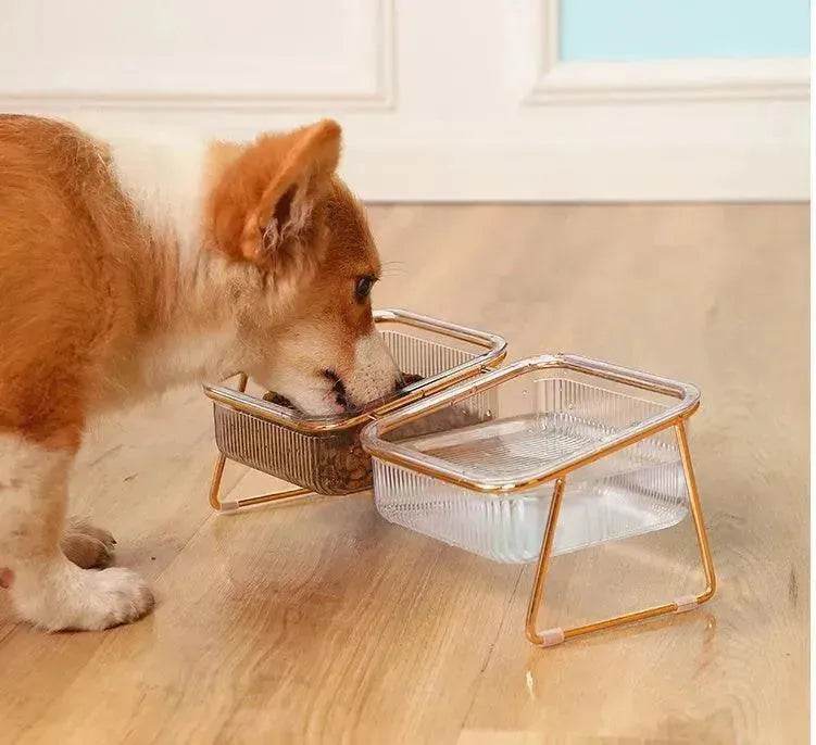 Neck-protecting sloped pet feed bowl Stand - Velora