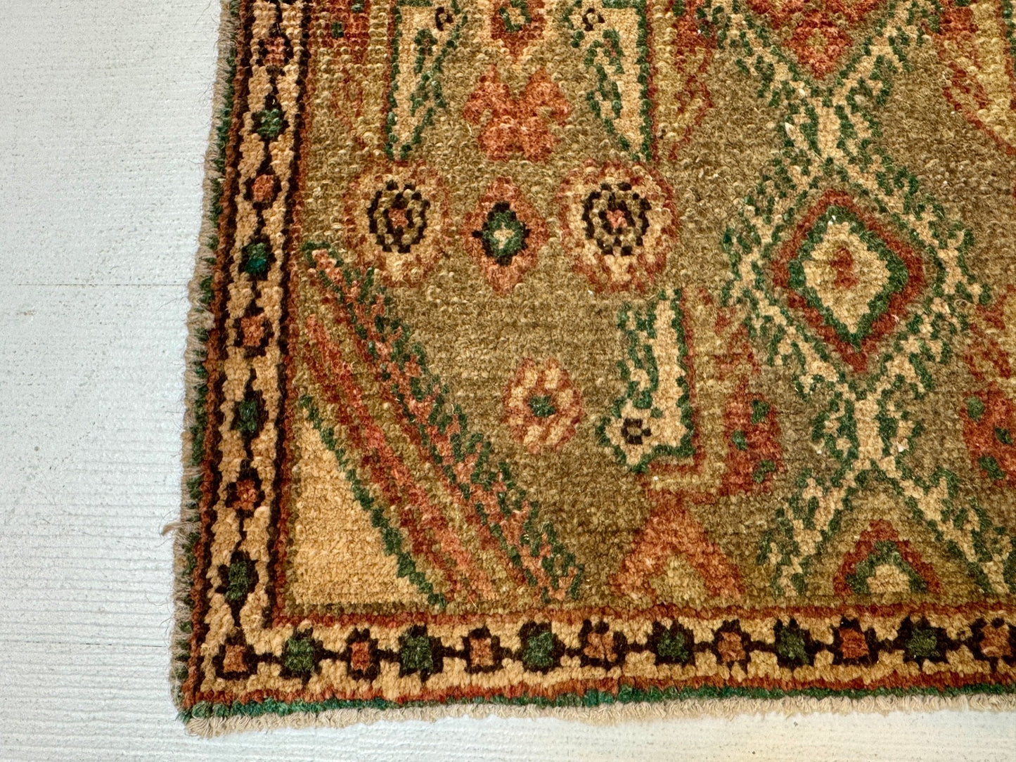 Persian Borujerd Runner Rug | 1' 10” x 6' 5" - Velora
