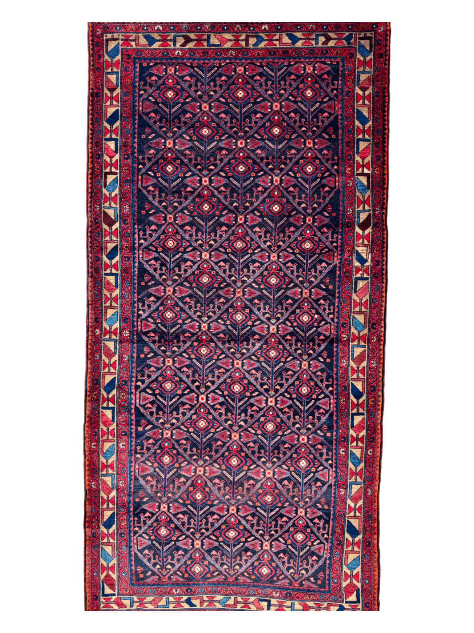 Persian Nahavand Rug | 5' 2" x 10' 8" - Velora