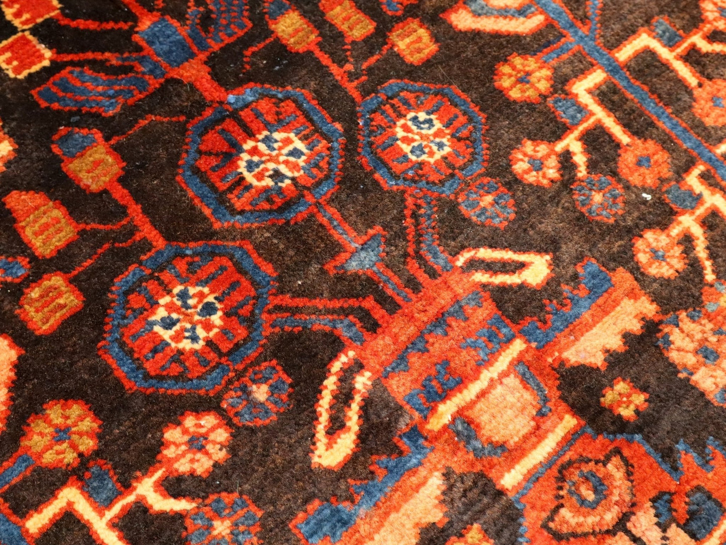 Persian Nahavand Rug | 5' 5” x 9' 7" - Velora