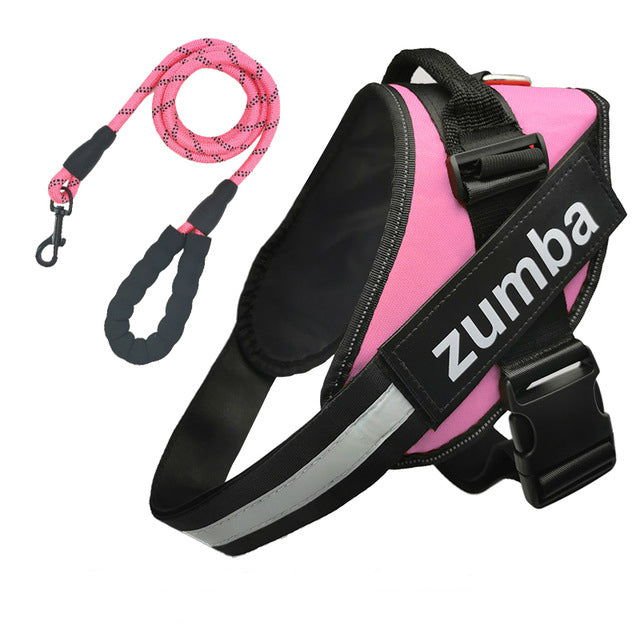Personalized Dog Harness and Leash with Name and Phone Number - Velora Luxury Fashion