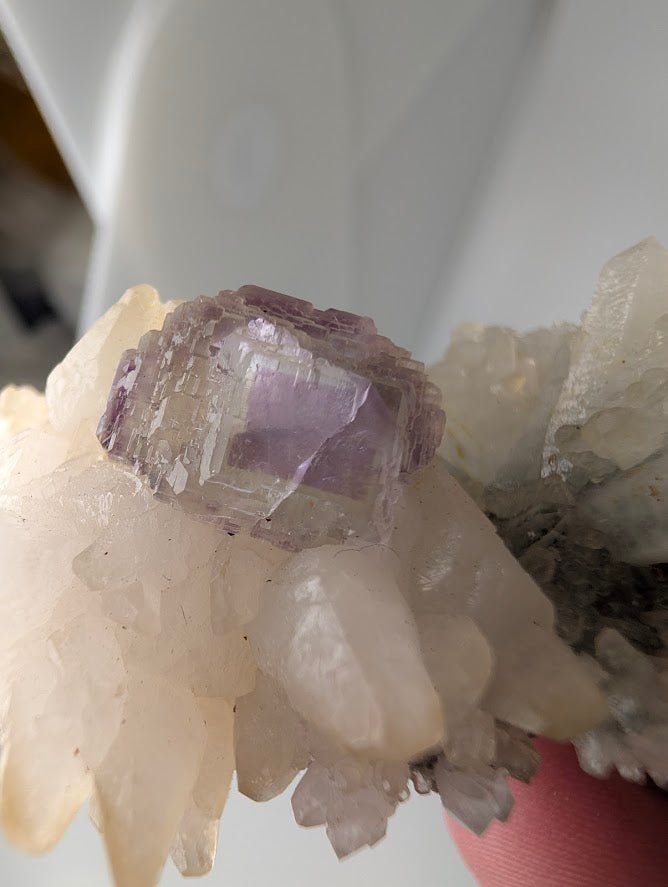 Shangbao Fluorite with Quartz – UV Reactive Collector’s Specimen