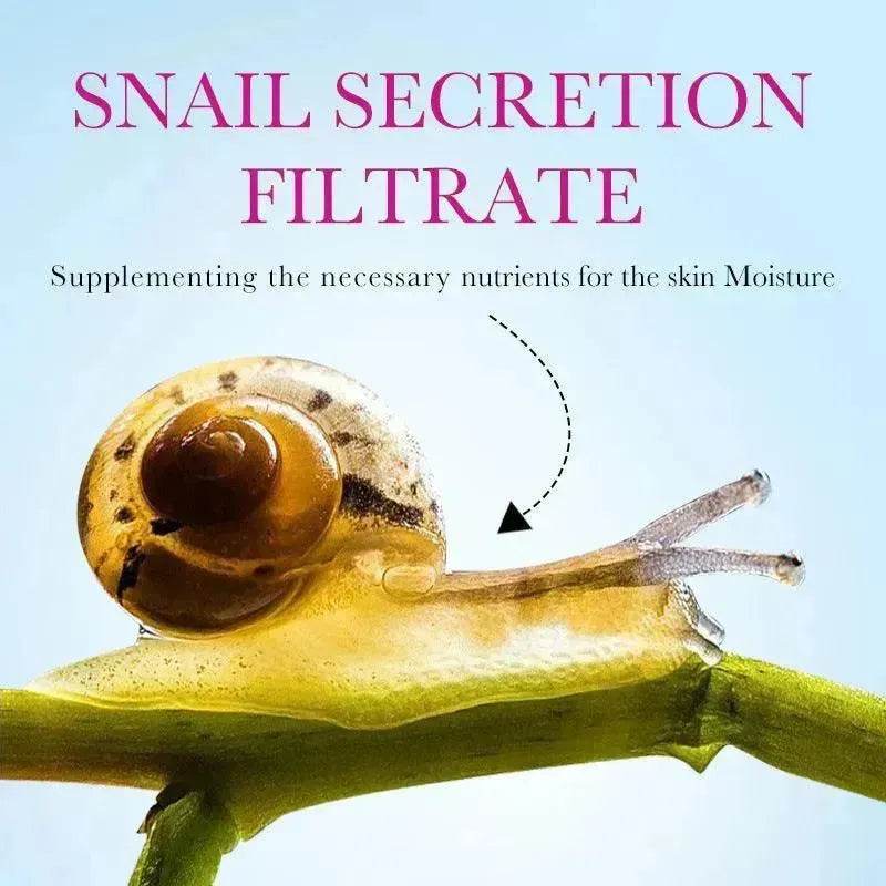 Snail Recombinant Collagen Anti-wrinkle Face Cream - Velora