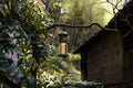 Peterson Housewares Meteor Green Camping Lantern - Velora Luxury Fashion