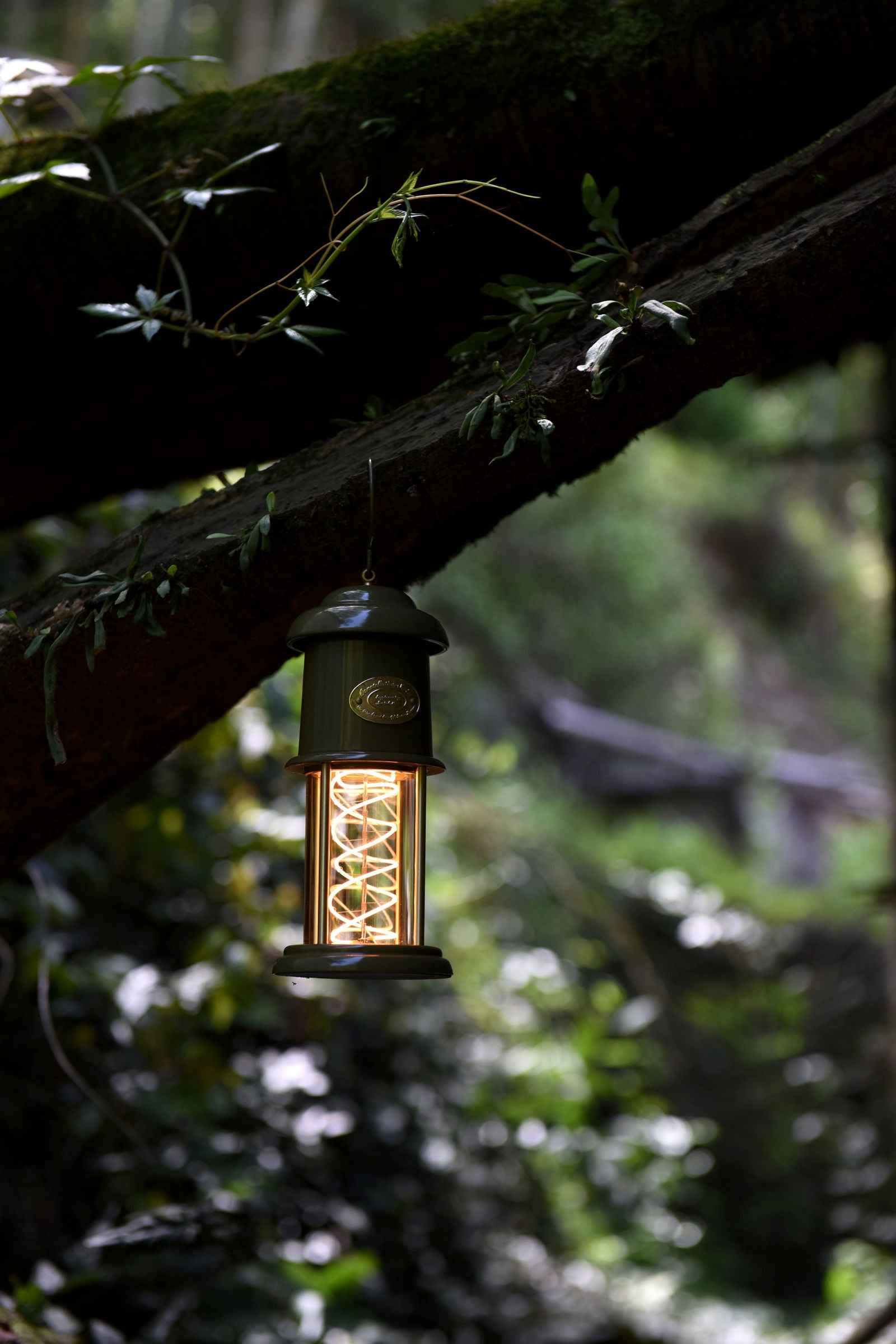 Peterson Housewares Meteor Green Camping Lantern - Velora Luxury Fashion