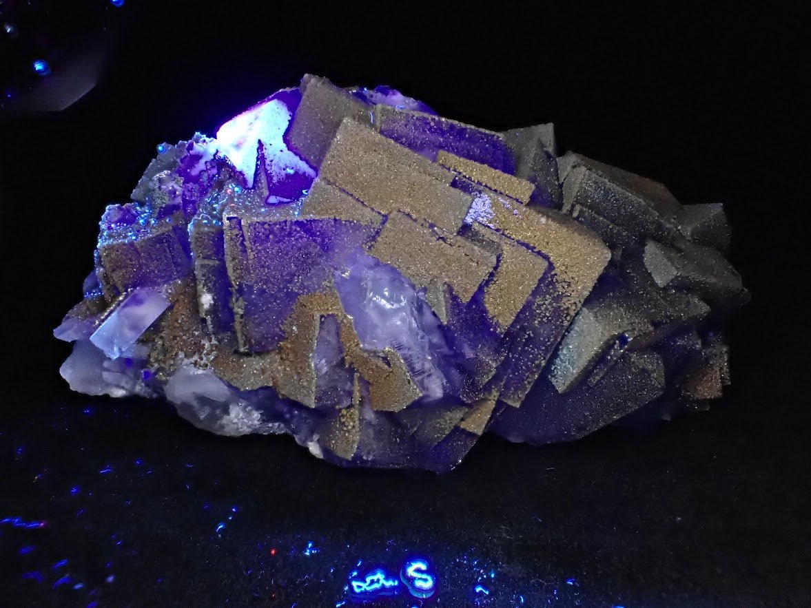 Vivid YGX Fluorite with Golden Pyrite (2 × 3.5 × 2in., 241g)